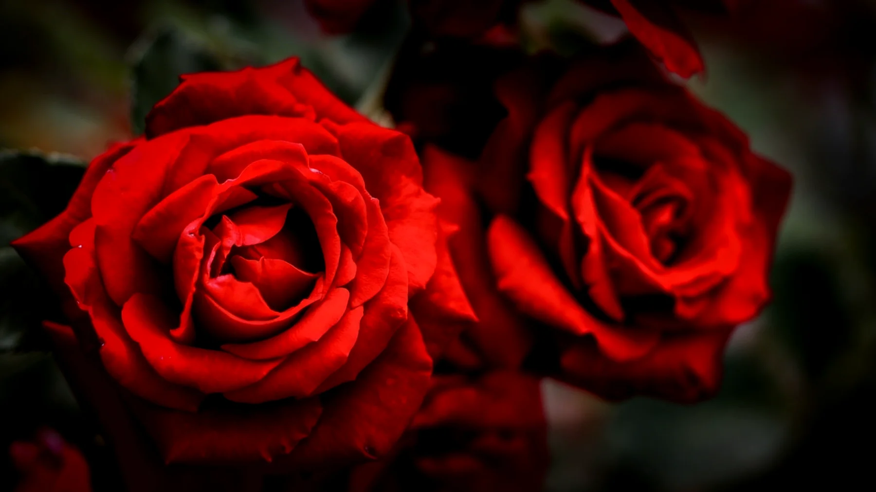 Rote Rosen2026-04-09T04:56:16.399Z"